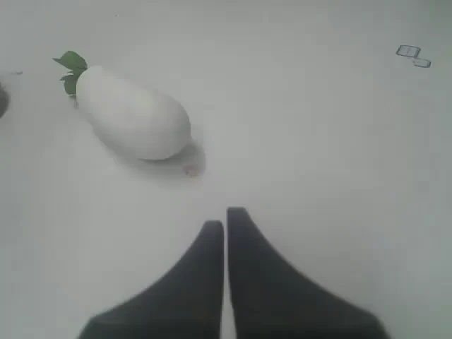 Right wrist camera observes the radish near the gripper