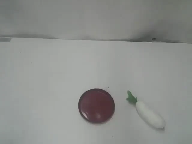 Scene camera observes the plate and radish
